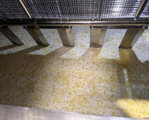 Impianto Produzione Formaggio Pasta molle semidure DEMA PC20 con prodotto